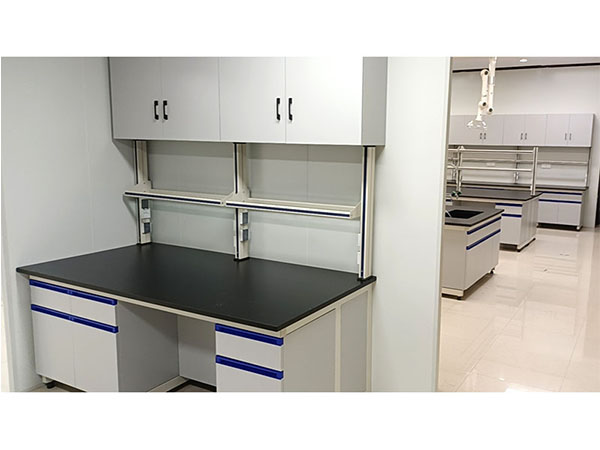 鋼木實(shí)驗(yàn)臺(tái)帶吊柜灰白色 鋼木實(shí)驗(yàn)臺(tái)帶吊柜